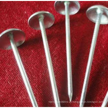 Fornecedor China Galvanized Roofing Nails